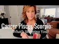 Cancer Pisces Scorpio What s Stopping You Water Signs