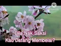 Download Lagu Bila Nak Saksi - Spider (INDOMALAY)