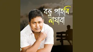 bondhu pahori najabi