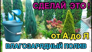 Download 💧Осенний ВЛАГОЗАРЯДНЫЙ полив 🌲ХВОЙНЫХ🍎ПЛОДОВЫХ🫐ЯГОДНЫХ. Полив осенью. Полив деревьев осенью. MP3