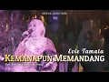 Download Lagu Evie Tamala - Kemanapun Memandang (Official Music Video)