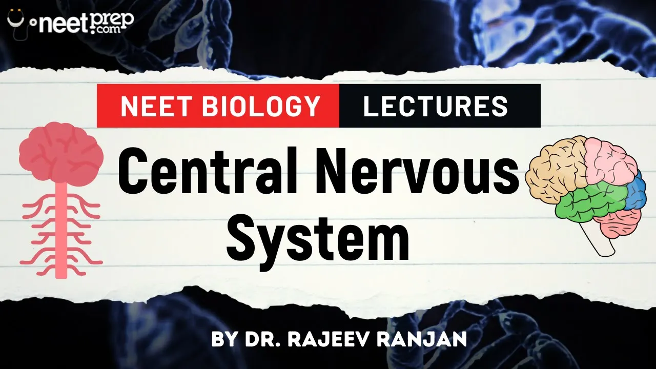 Central Nervous System | Explained by Dr. Rajeev Ranjan | NEET 2025 | Biology Lectures #neet2025
