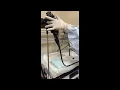 Scope Precleaning Endoscopy