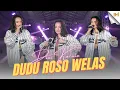 Download Lagu DUDU ROSO WELAS - DINI KURNIA ( OFFICIAL MUSIC VIDEO )