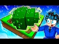 Download Lagu I Grew a Mammoth Guanabana Fruit with EVERY Mutation on Grow a Garden!