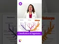 3 Domains of Life Microbiology SHORT LevelUpRN