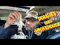 Dougies Bar B Que Smokehouse Food Truck Got the Squealing Dog Pedestrian Diner