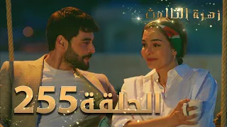 مسلسل زهرة الثالوث الحلقة 255 مدبلج الموسم الثاني 