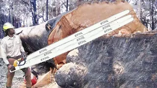 Download Amazing Dangerous Skills Fastest Big Tree Felling, Extreme Biggest Tree Cutting Down Machines MP3