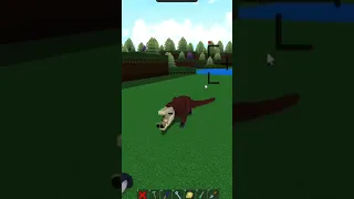                                                                                                دندنها