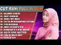Lagu SALAHMU SENDIRI - CUT RANI FULL ALBUM | OBATI RINDUKU | LAGU POP MELAYU TERBARU 2025
