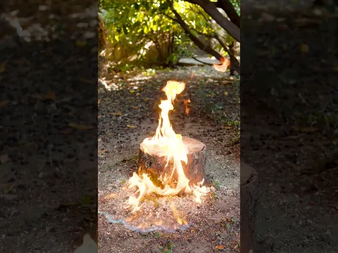 Burning Wood: Smart Pyrography Hacks & Techniques
