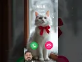 Download Lagu cute cat #ringtone #cat #calling