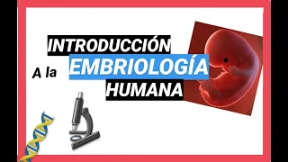 ✅ Conceptos Básicos de Embriología | Curso de EMBRIOLOGÍA Humana Clase 1📚