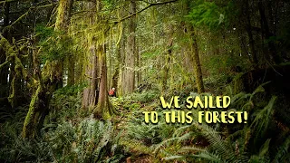 Hiking in an Enchanted Forest that We Sailed To! | Chapter 4 Episode 4 | The Wayward Life