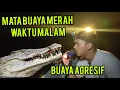 Night Herping | Jejak Buaya Dan Ular Sungai | Buaya Agresif