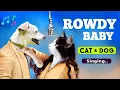 Download Lagu Rowdy Baby CAT and DOG Sing  | Aju A'kay