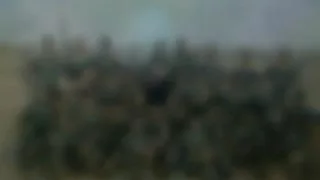 اغنية عن الجيش الوطني الجزائري 2016  اغنية عن الجيش الوطني الجزائري 2016