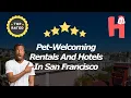 Pet-Welcoming Rentals And Hotels In San Francisco