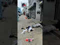 Download Lagu Documenting the Struggle What happened today in Kensington Tuesday, August 19, 2025