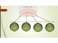 03-Core Java Tutorial static instance variables methods final keyword Eclipse example
