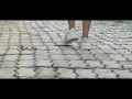 Download Lagu Rasa yang terpendam - silet open up ft anamaria (Offocial Music Video)
