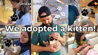 Our Search for a Cat in Malaysia (Kitten Reveal Inside!)