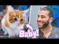 Download Lagu ÇILGIN BİR YAVRU KEDİ! (Yerinde Durmak Nedir Bilmiyor!)