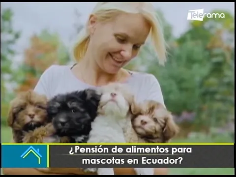 Pensión de alimentos para mascotas en Ecuador