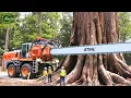 Download Lagu Extreem gevaarlijke en snelste grote kettingzaagmachine voor het zagen van bomen | Monster Stump ...