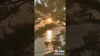 ياشمس يامنورة غيبي دندنها