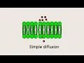 Diffusion Explained Types Examples Factors Affecting Diffusion