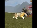 Download Lagu Wild Tiger 🐯 V's Angry Buffalo 🦬 Deadly Battle