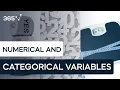 Types of Data Categorical vs Numerical Data