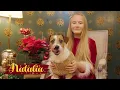 Natalia Ada - Domn Domn Sa-naltam (Colind Traditional Romanesc)