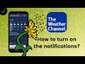 How to turn on the pollen report notifications on The Weather Channel