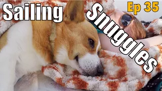 Fair Winds and Corgi Snuggles | Sailing Wisdom Ep 35