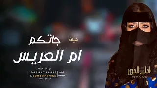 شيلات ام العريس جديد 2023 حماسيه شيلة جاتكم ام العريس بدون حقوق 
