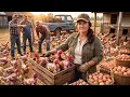 She Paid 12 for 300 Dying Hens Then Their Eggs Filled the Town