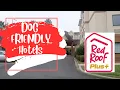 Dog Friendly Hotels Red Roof Inn Plus Savannah GA All You Need To Know
