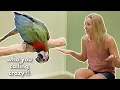 You Won t BELIEVE What This Talkative Bird Did - OMG