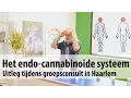 Download Lagu Het endo-cannabinoide systeem - Uitleg tijdens groepsconsult Haarlem