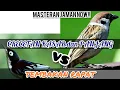 Download Lagu Masteran jaman now!!Rambatan loreng vs Gereja, perpaduan Tembakan ala cililin dan crecetan kasar