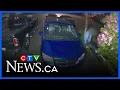 Download Lagu Camera footage of neighbour leaves Calgary family concerned
