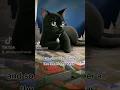 Long live the Queen! #AI #trend #trending #aicat #cats #blackcat #cuteanimals #catsoftiktok