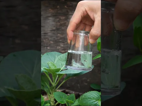This Water Trick Will Blow Your Mind #physics #scienceexperiment