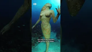 The REAL Story Of The Little Mermaid Shorts Thelittlemermaid Disney Hallebailey 