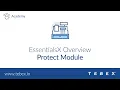 Tebex - EssentialsX Protect