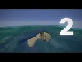 Dream Just Privated All His Speedruns