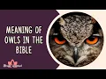 Meaning of Owls in the Bible - Symbol of Love or Death